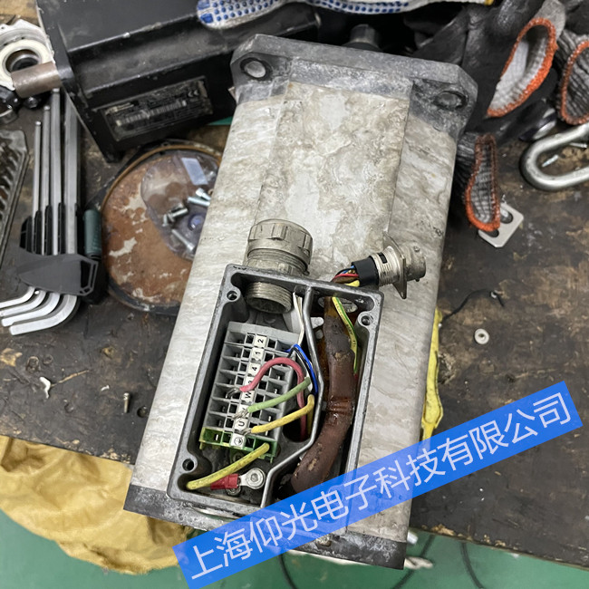 ELMO�ŷ�늙C(j��)�S�޳�Ҋ���Ͽ��Y(ji��) ���M(f��i)�z�y(c��)